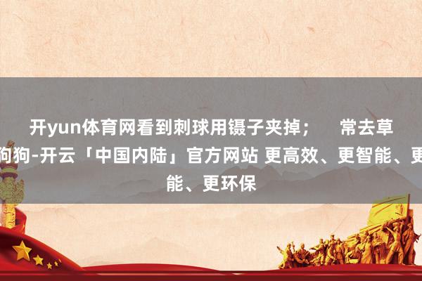 开yun体育网看到刺球用镊子夹掉；    常去草丛的狗狗-开云「中国内陆」官方网站 更高效、更智能、更环保