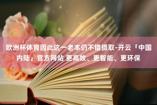 欧洲杯体育因此这一老本仍不错摄取-开云「中国内陆」官方网站 