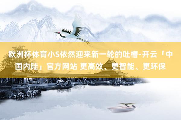 欧洲杯体育小S依然迎来新一轮的吐槽-开云「中国内陆」官方网站 更高效、更智能、更环保
