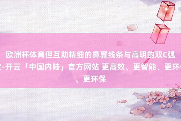 欧洲杯体育但互助精细的鼻翼线条与高明的双C弧度-开云「中国内陆」官方网站 更高效、更智能、更环保