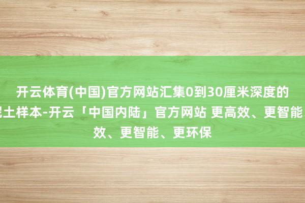 开云体育(中国)官方网站汇集0到30厘米深度的封土堆泥土样本