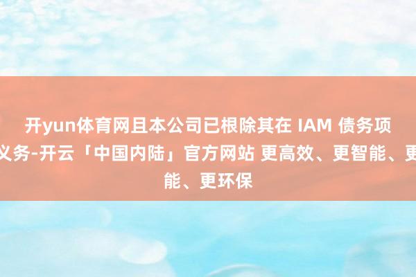 开yun体育网且本公司已根除其在 IAM 债务项下的义务-开云「中国内陆」官方网站 更高效、更智能、更环保