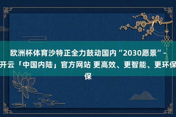 欧洲杯体育沙特正全力鼓动国内“2030愿景”-开云「中国内陆」官方网站 更高效、更智能、更环保